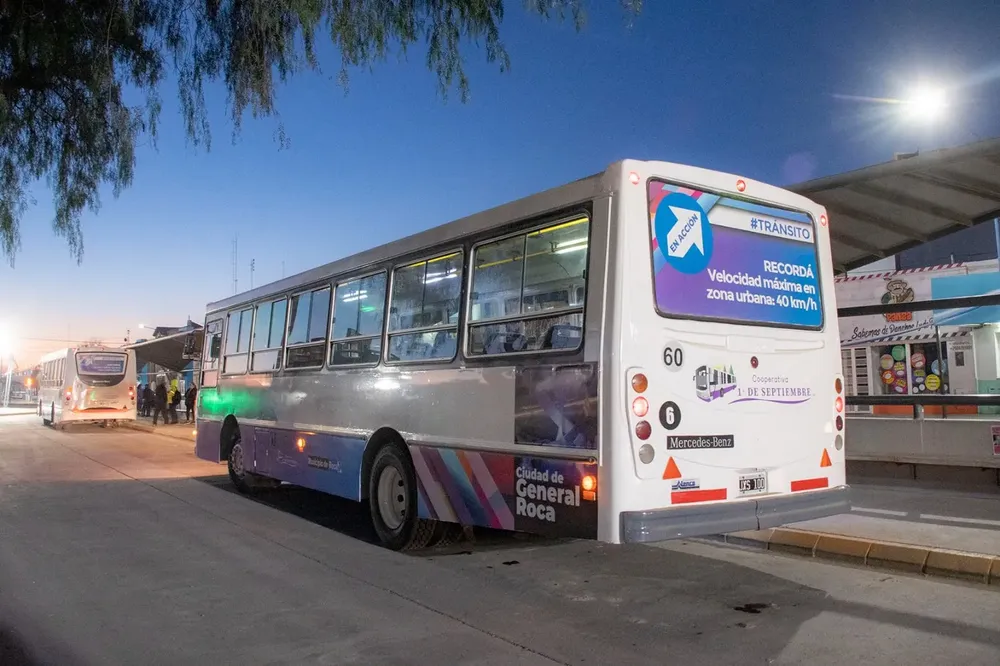 colectivos cooperativa