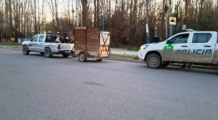 secuestro animales