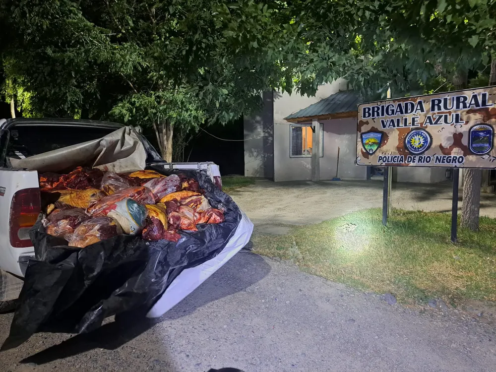 decomiso carne valle azul