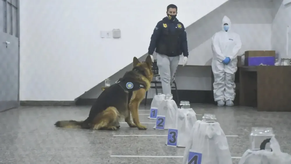 Agencia Antinarcóticos