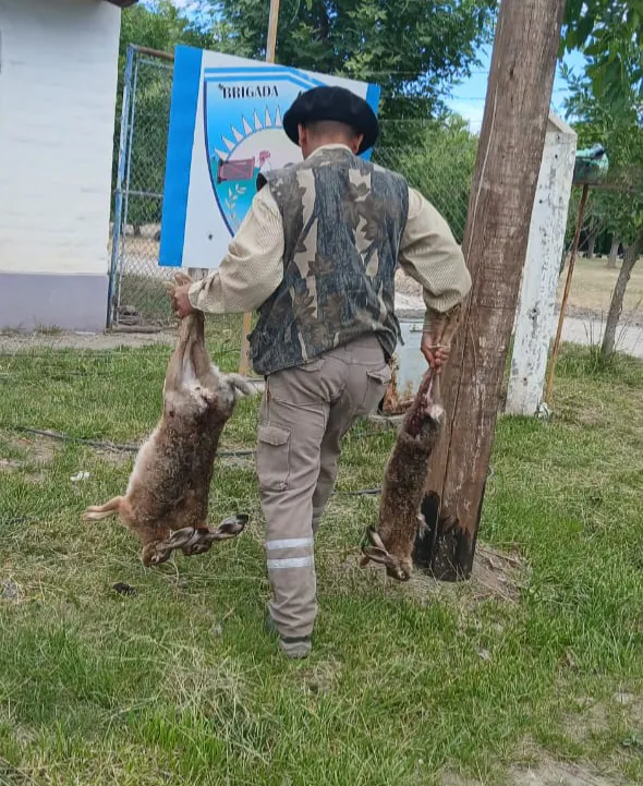 caza ilegal brigada rural