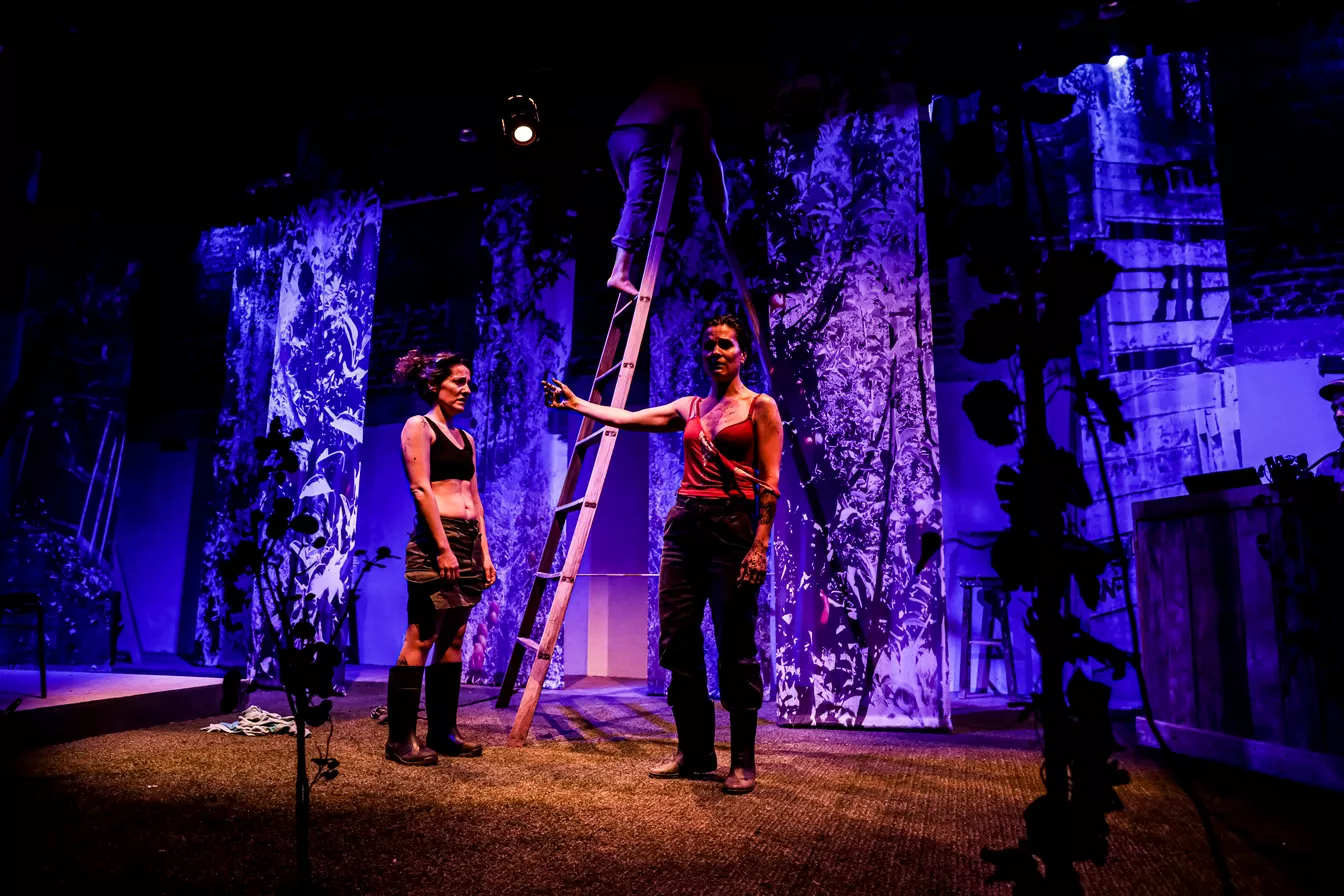 Golondrina-Soledad-5