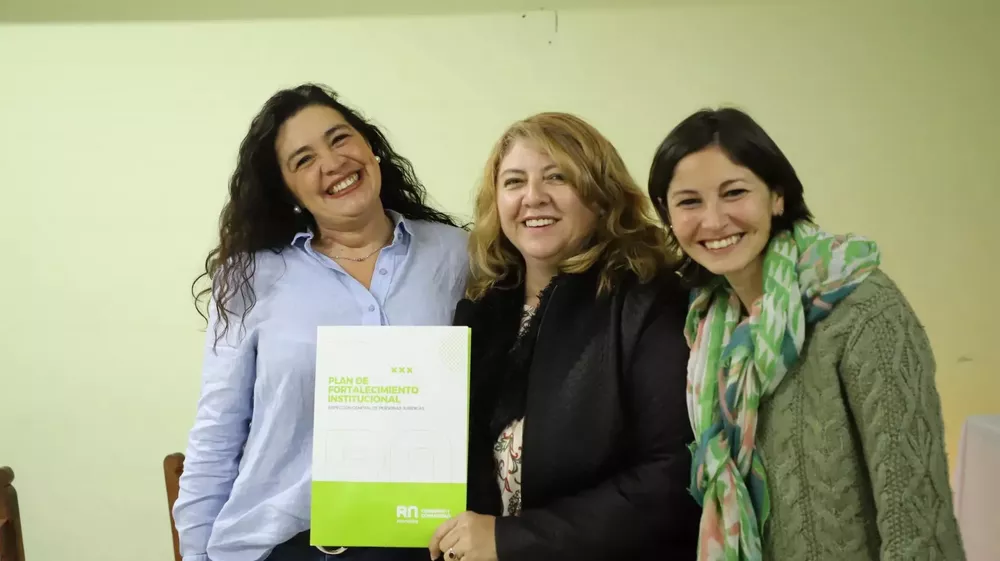 fortalecimiento institucional RRII