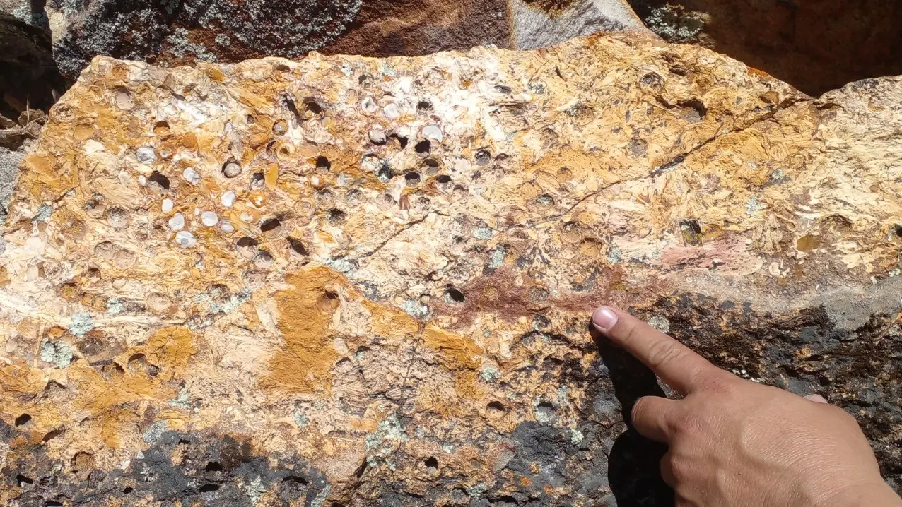 descubrimiento paso córdoba