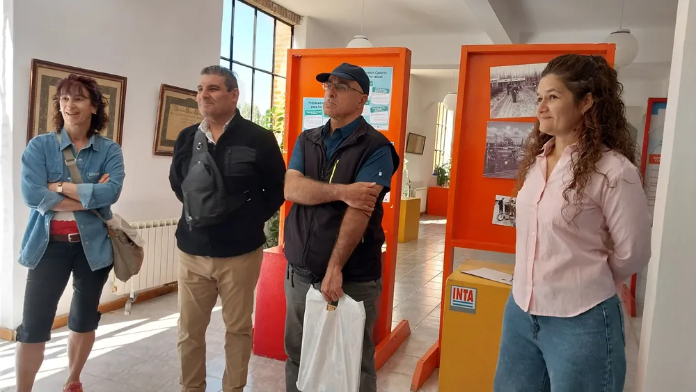 italianos stefenelli (2)