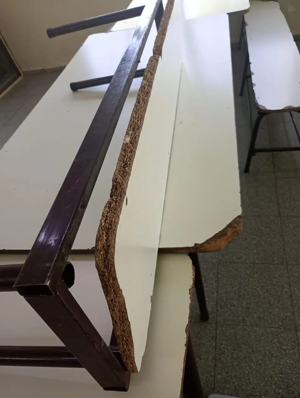 ESCUELA 317 (1)