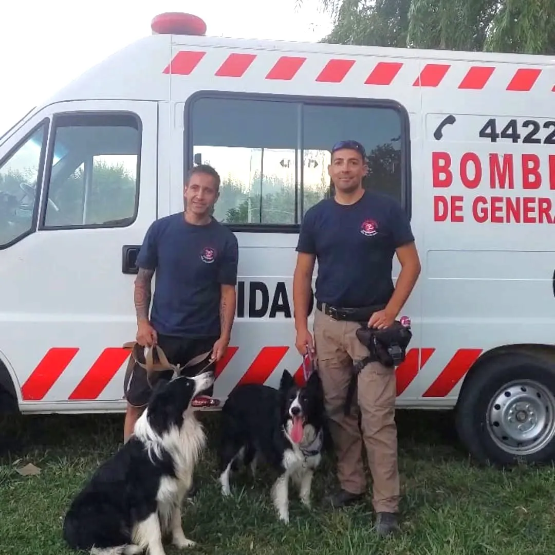 perros bomberos