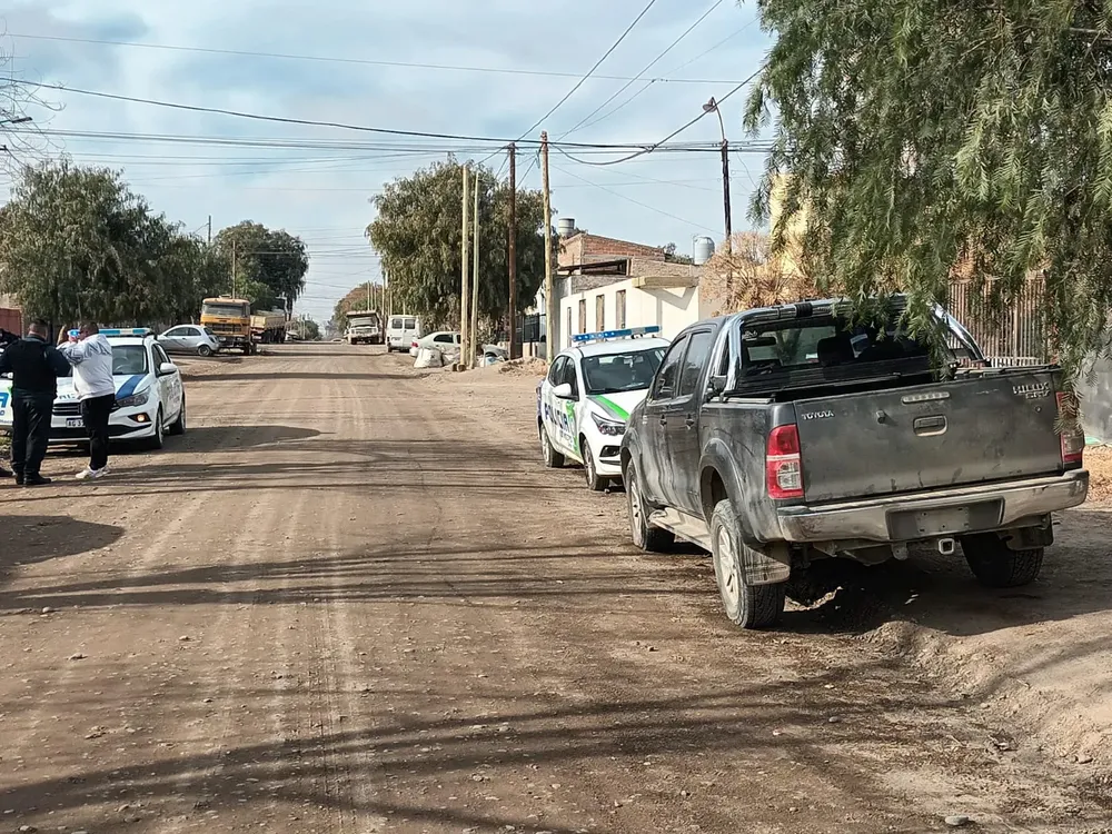 CAMIONETA ABANDONADA (4)