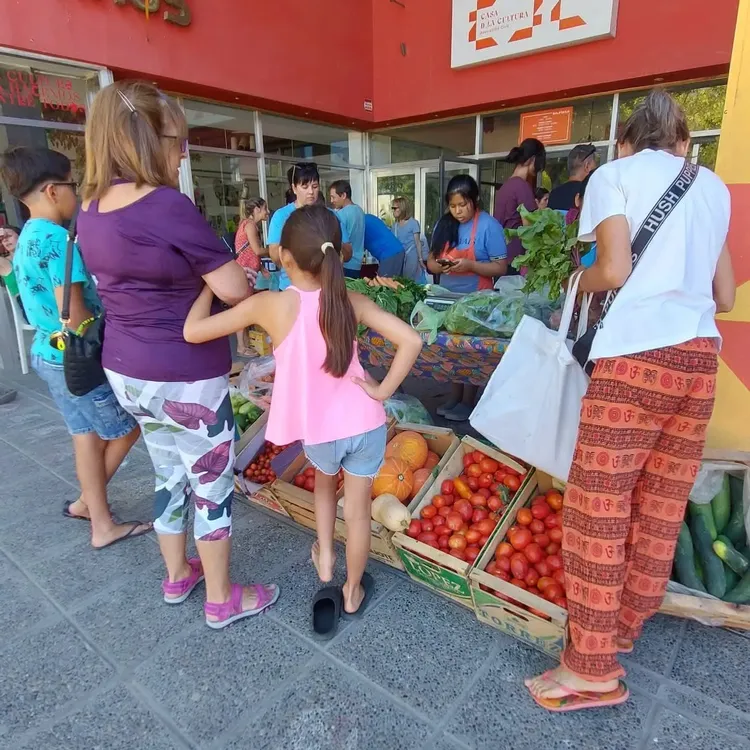 FERIA cultivar CDC