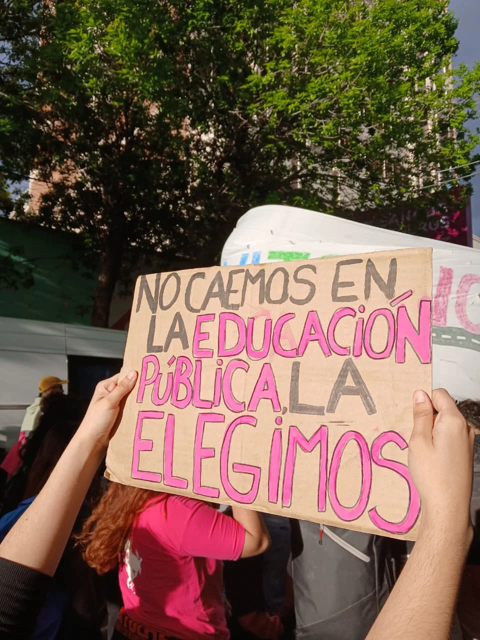 marcha universitaria (4)