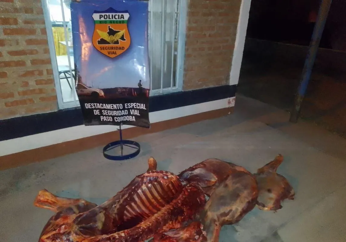 carne de caballo2