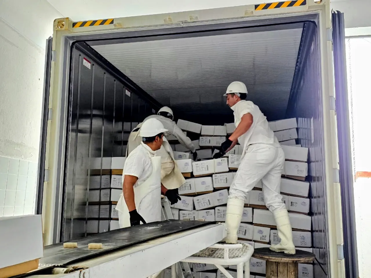 exportación ovina2