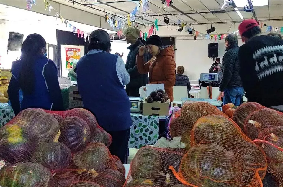 Feria Cultivar CDC