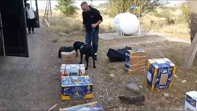 SENASA CONTROLES CANES