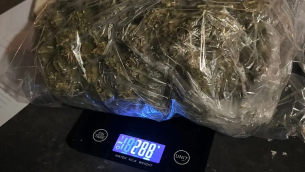 marihuana barrio nuevo1