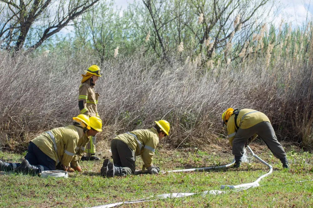 bomberos capacitación incendio cordillera (2)
