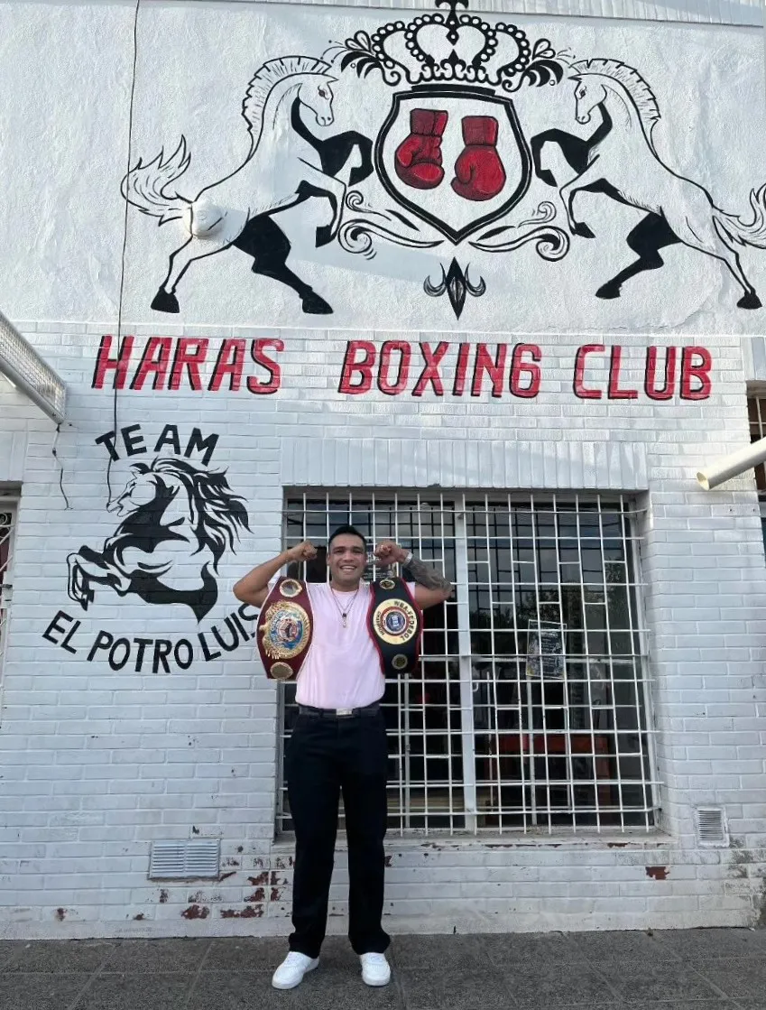 El Potro en Haras