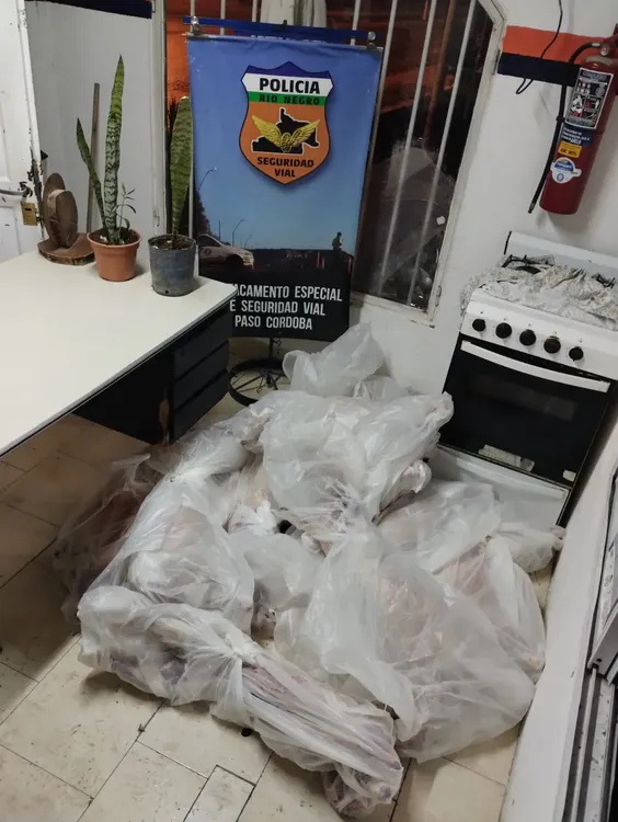 decomiso carne paso cordoba