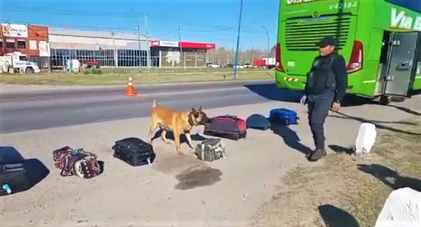 PERRO POLICÍA OPERATICO RUTA 22