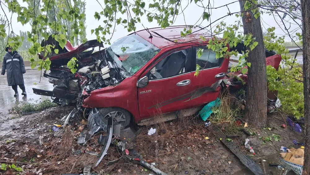 despiste camioneta Ruta 22 (1)