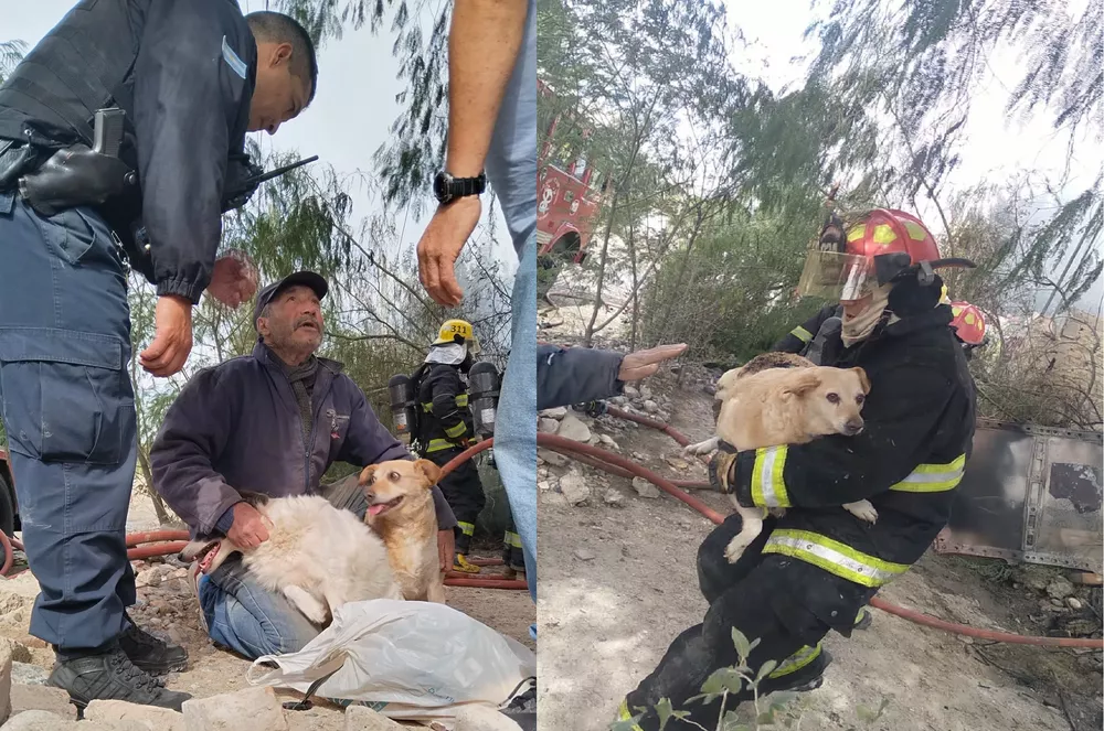 incendio bomberos mascotas