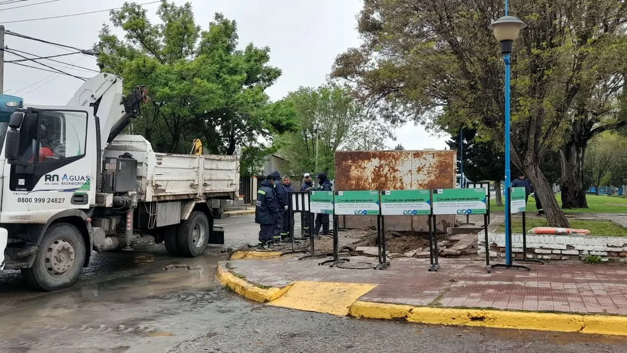 recambio cloacal