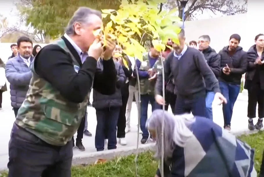 UNRN árboles Malvinas2