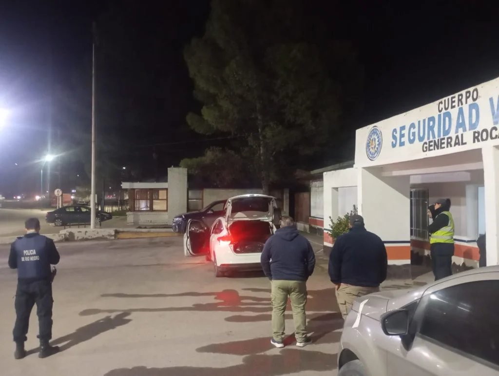 carne de equino