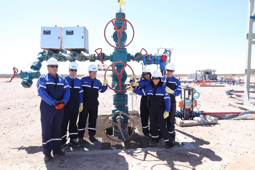 Weretilneck pozo vaca muerta2