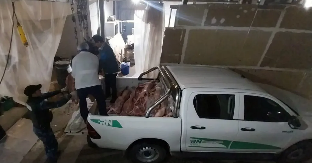 carne en mal estado3