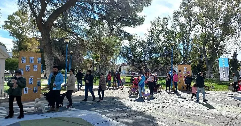 DIA DEL ANIMAL6