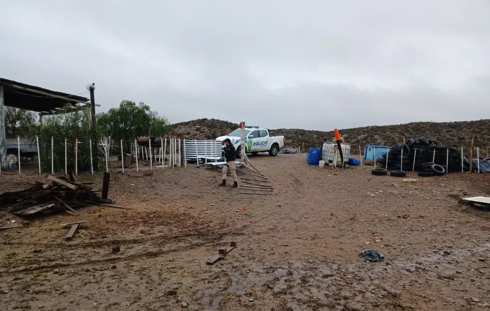 caballos recuperados