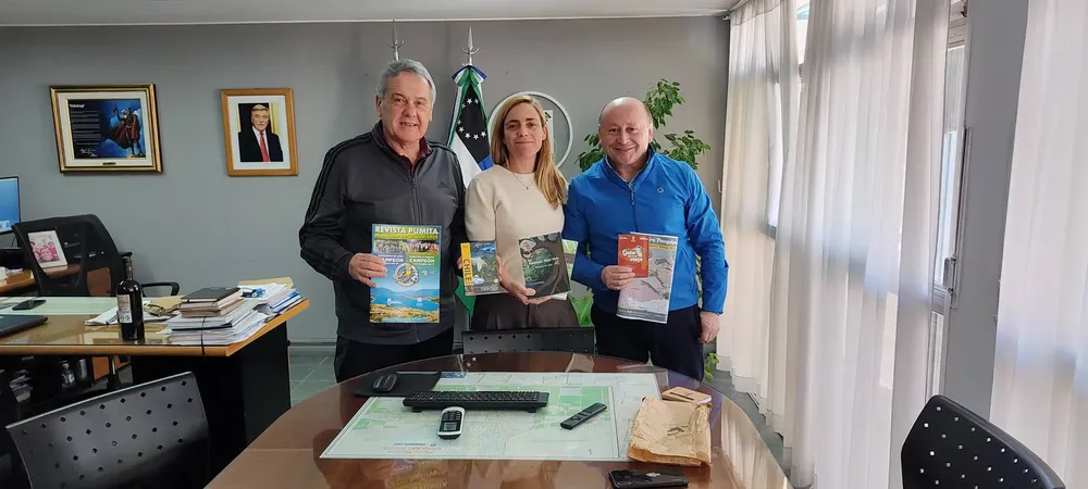 MES Panguipulli Cesarín