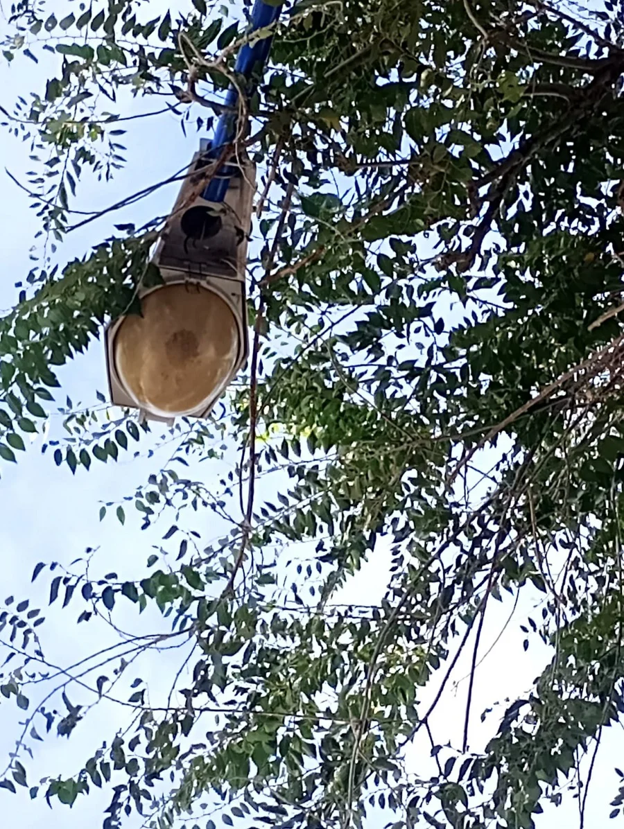 lámpara calle Epifanio