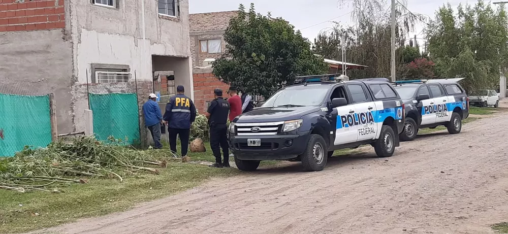 PFA operativo2
