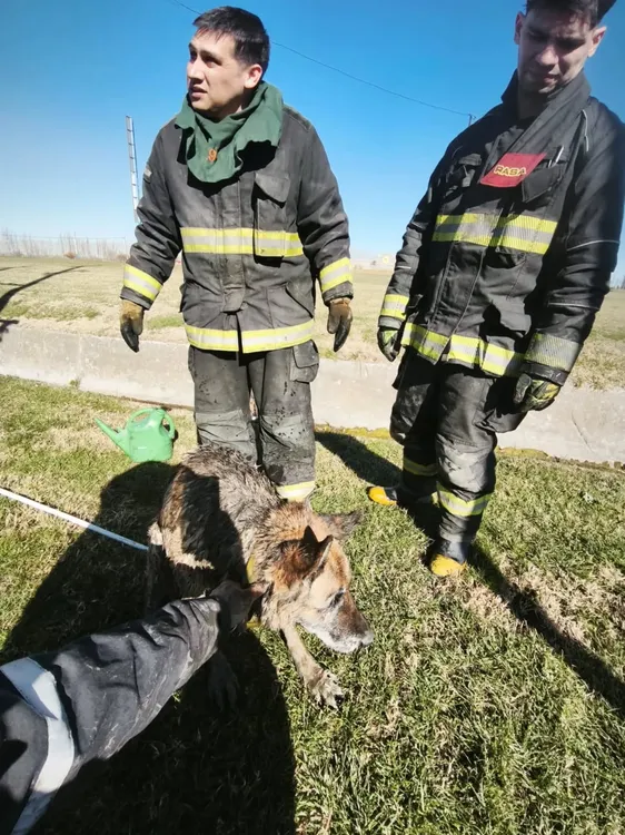 bomberos