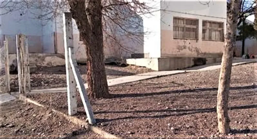 tejido escuela 289