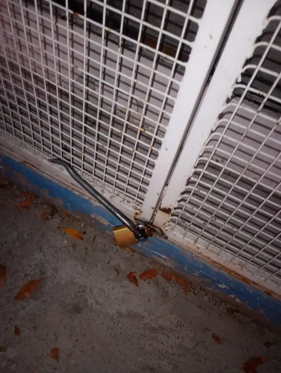 intento de robo centro