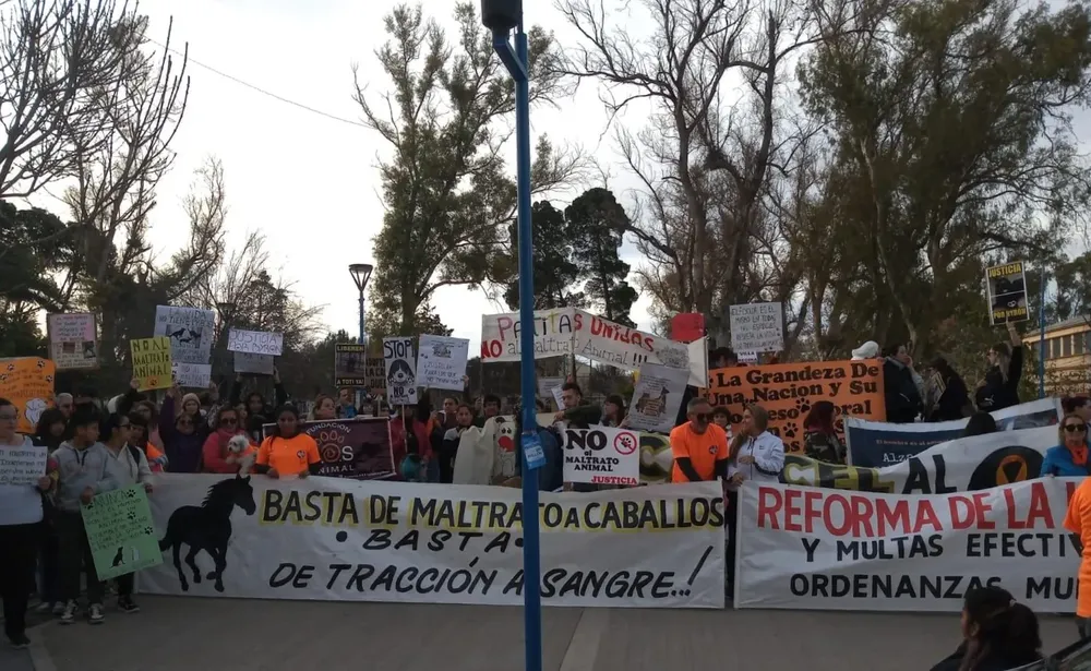 marcha maltrato animal
