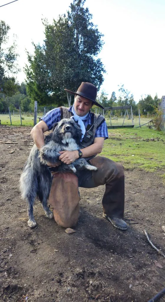 turistas perdidas leleque