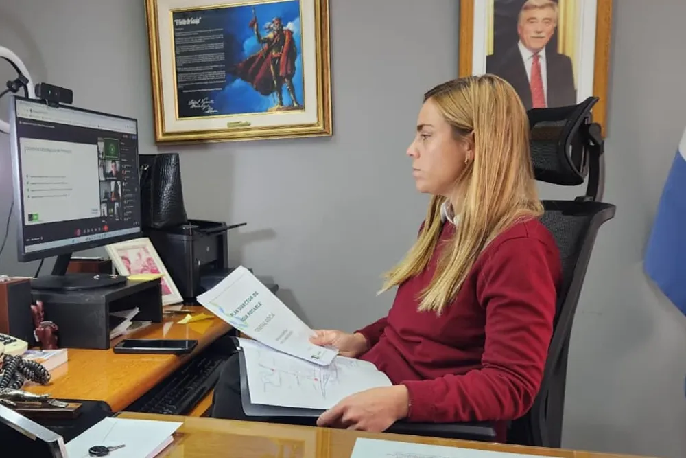 CONSULTA SIGNIFICATIVA PLAN DIRECTOR DE AGUA 2