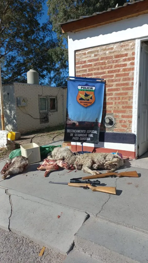 decomiso carne paso córdoba4