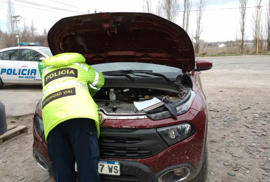 seguridad vial camioneta1