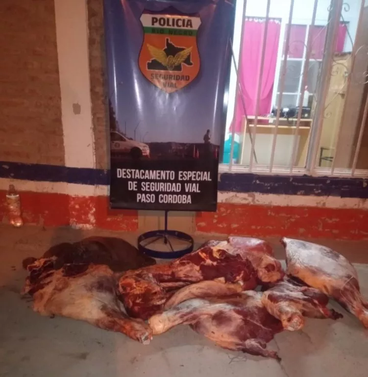 transito-alto-valle-sur-3