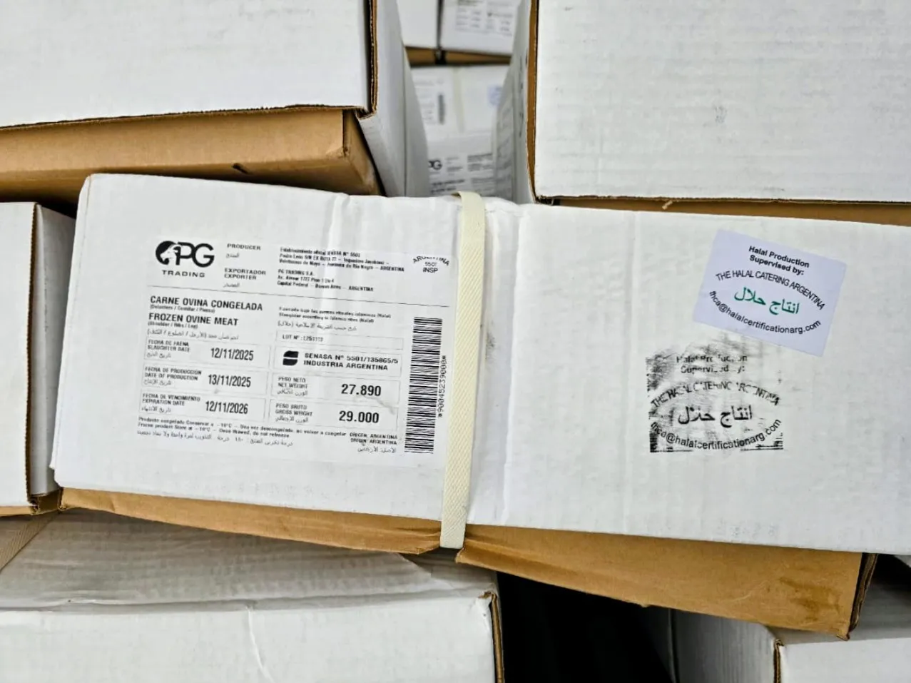 exportación ovina