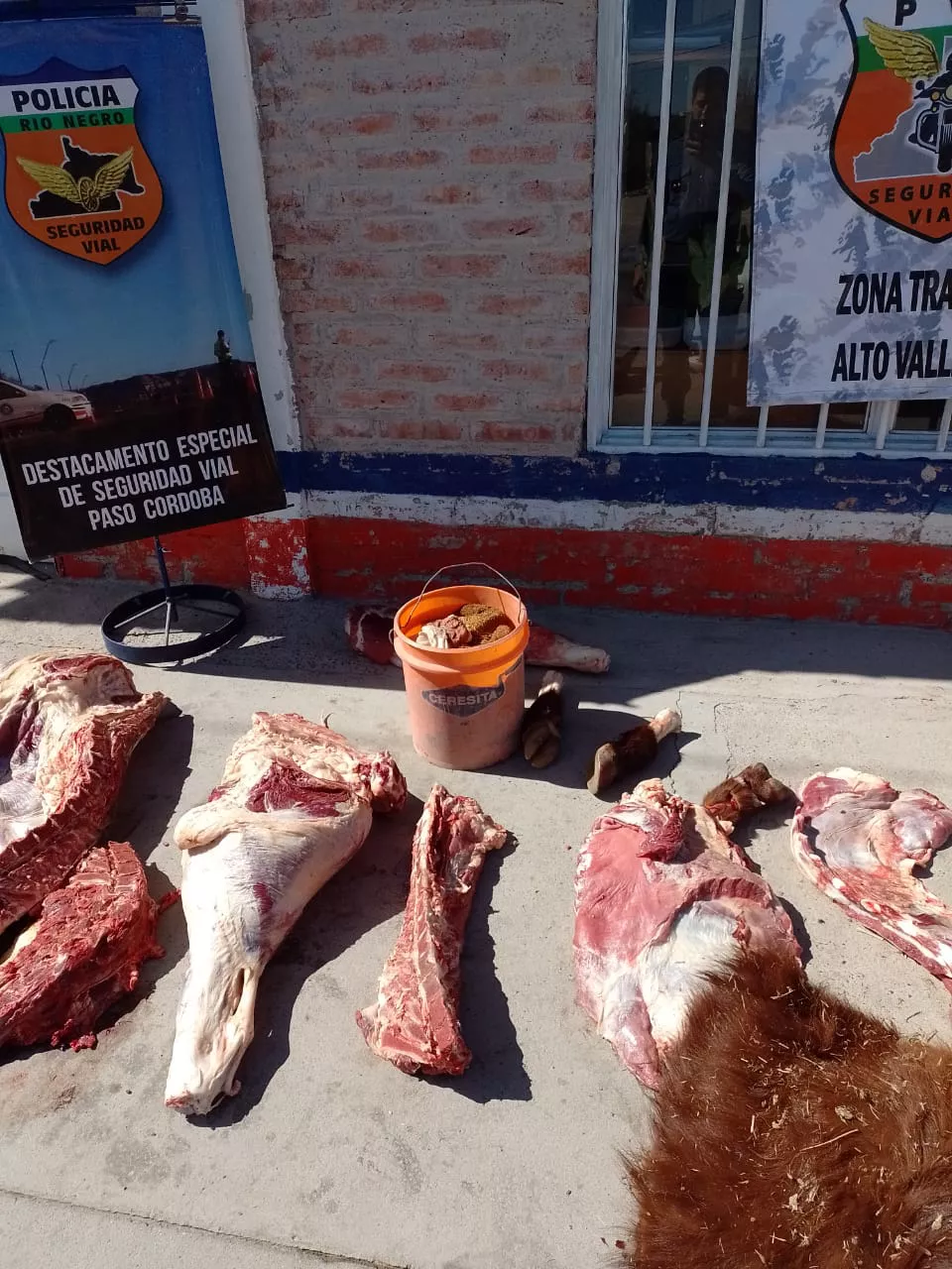 carne-paso-cordoba