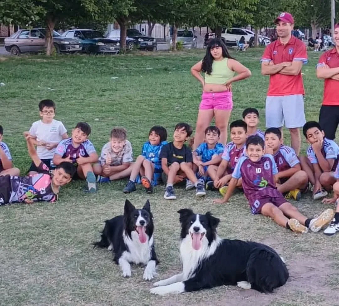 perros bomberos2