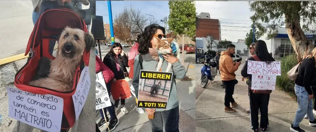 marcha maltrato animal2