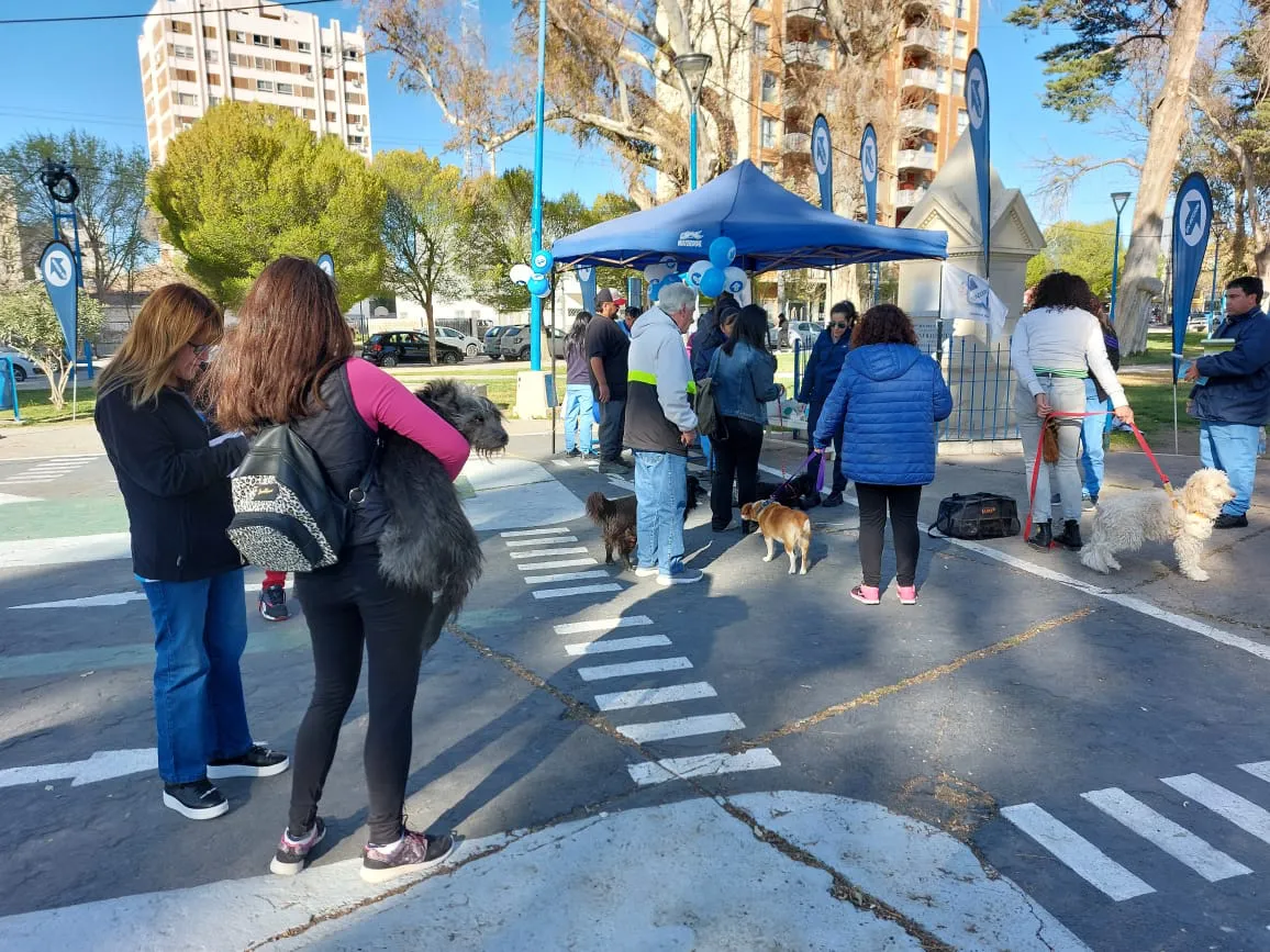 CAMPAÑA LUCHA RABIA
