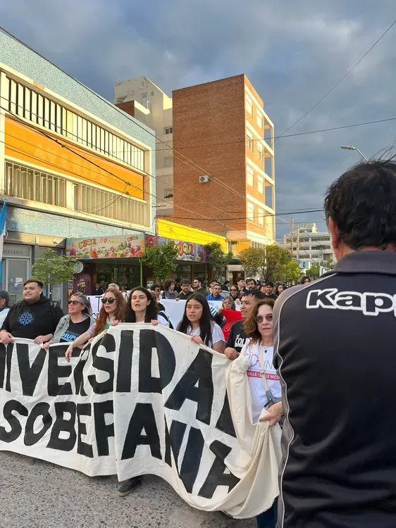 marcha universitaria (5)